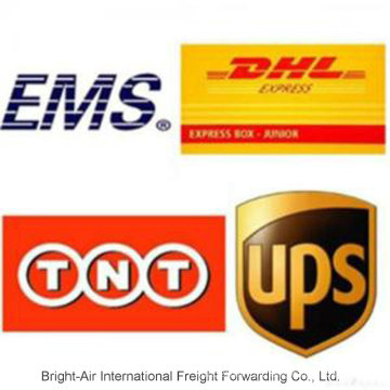 Entrega Noturna em Encomendas de Encomendas DHL UPS Express da China para a Argentina, Peru